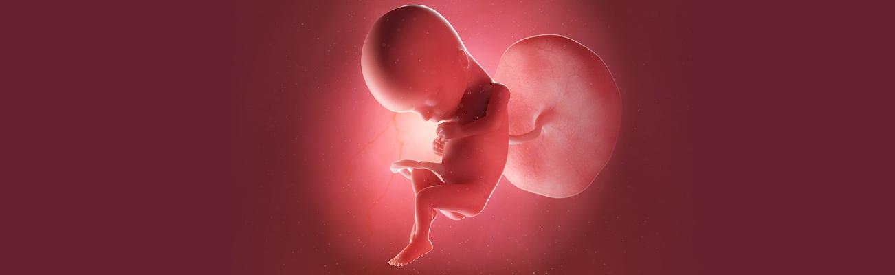 15 Week Baby Development: What You Need to Know